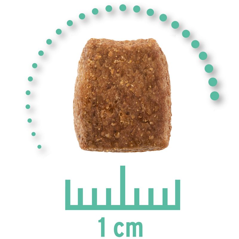 Zooplus Concept for Life Veterinary Diet Hypoallergenic Insect Crocchette per cani Affare Del Giorno