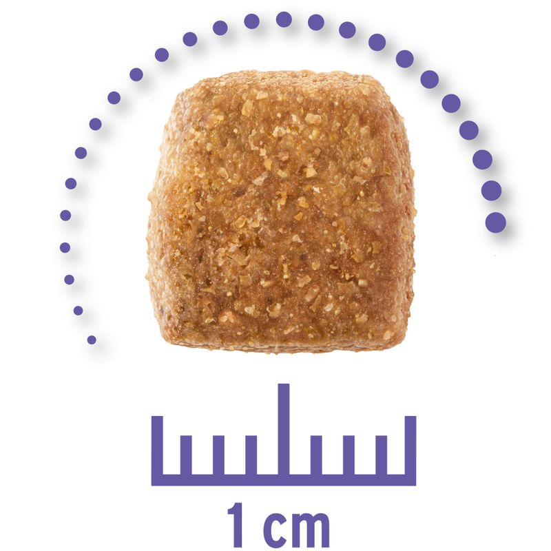 Zooplus Concept for Life Veterinary Diet Renal Crocchette per cane Prezzo Ridotto