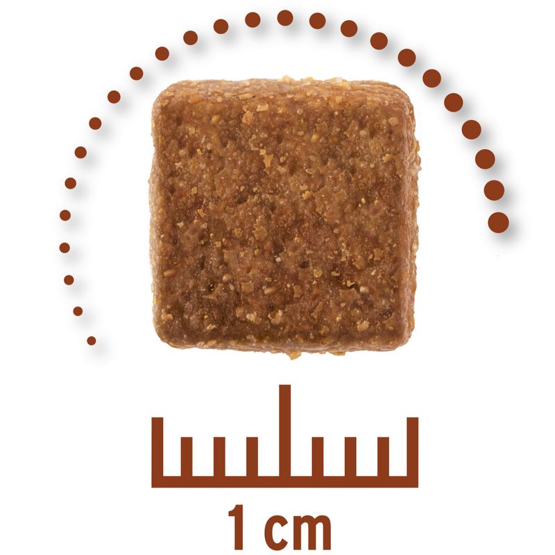 Zooplus Concept for Life Veterinary Diet Gastro Intestinal Crocchette per cane Sottocosto
