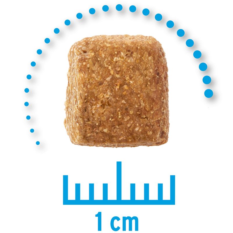 Zooplus Concept for Life Veterinary Diet Weight Control Crocchette per cane Offerta
