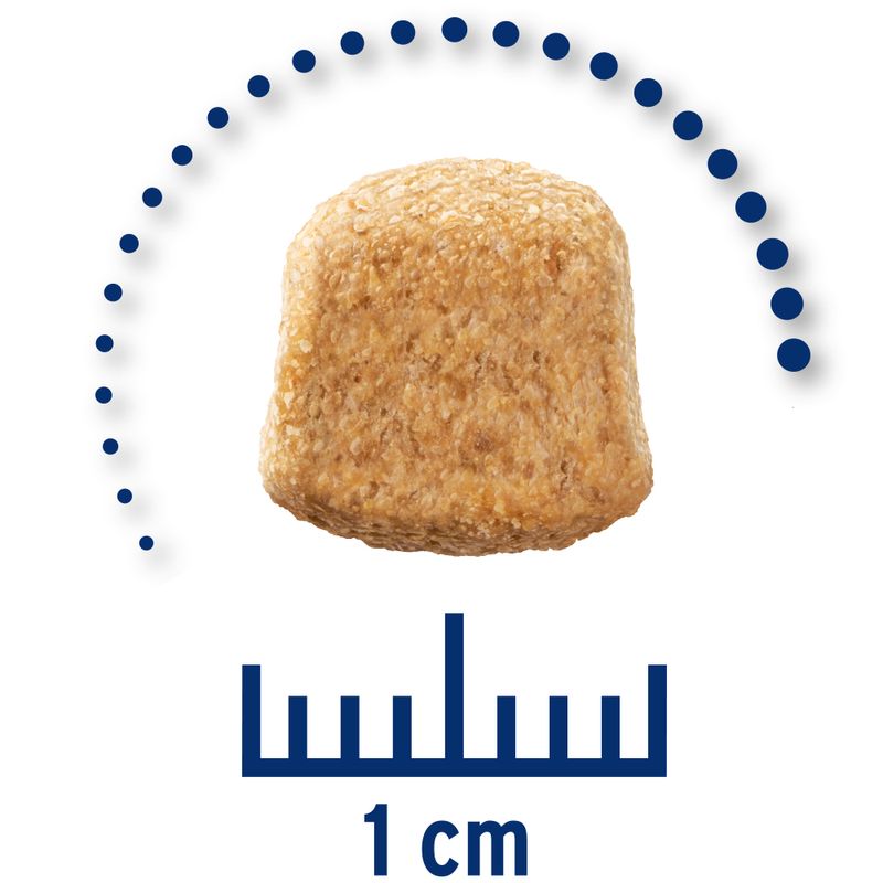 Zooplus Concept for Life Veterinary Diet Mobility Crocchette per cane Online