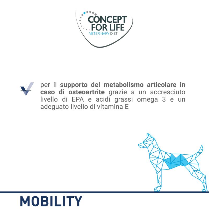 Zooplus Concept for Life Veterinary Diet Mobility Alimento umido per cani Sconto