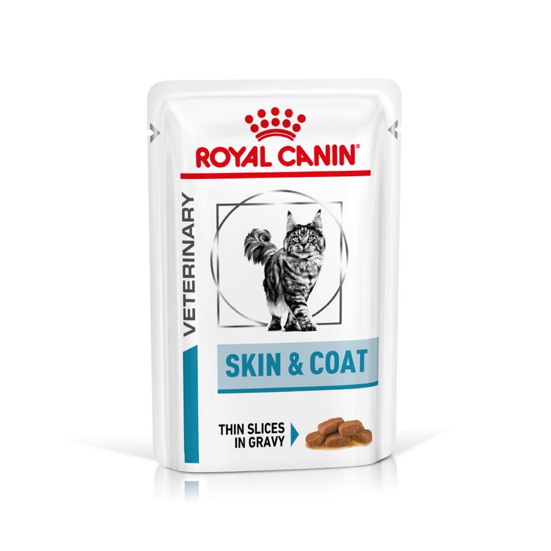 Zooplus Royal Canin Skin & Coat Feline Veterinary umido gatto
