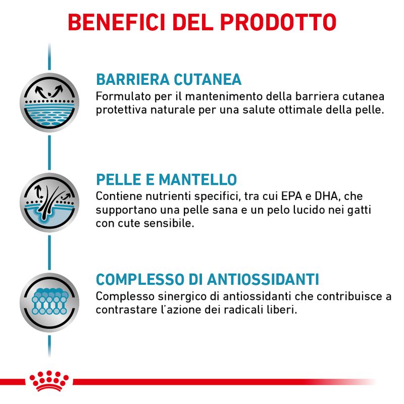Zooplus Royal Canin Skin & Coat Feline Veterinary umido gatto Affare Del Giorno