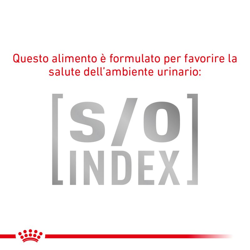 Zooplus Royal Canin Skin & Coat Feline Veterinary umido gatto Affare Del Giorno