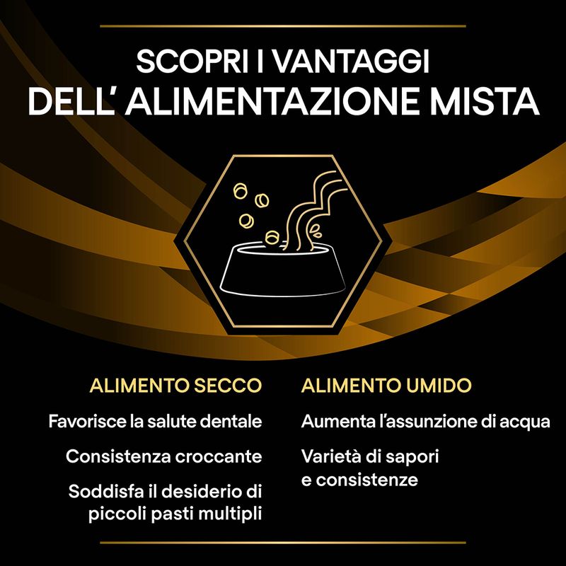 Zooplus Purina Pro Plan Veterinary Diets Feline NF Renal Function Early Care Pollo Qualità