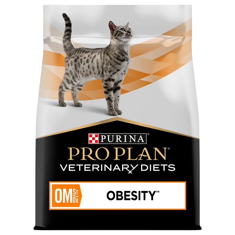 Zooplus Obesity Management