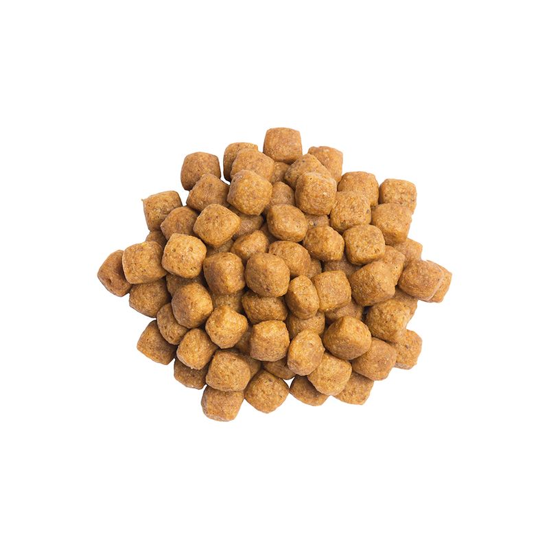 Zooplus PURINA PRO PLAN Veterinary Diets UR ST/OX Urinary Pesce dell'Oceano Moda