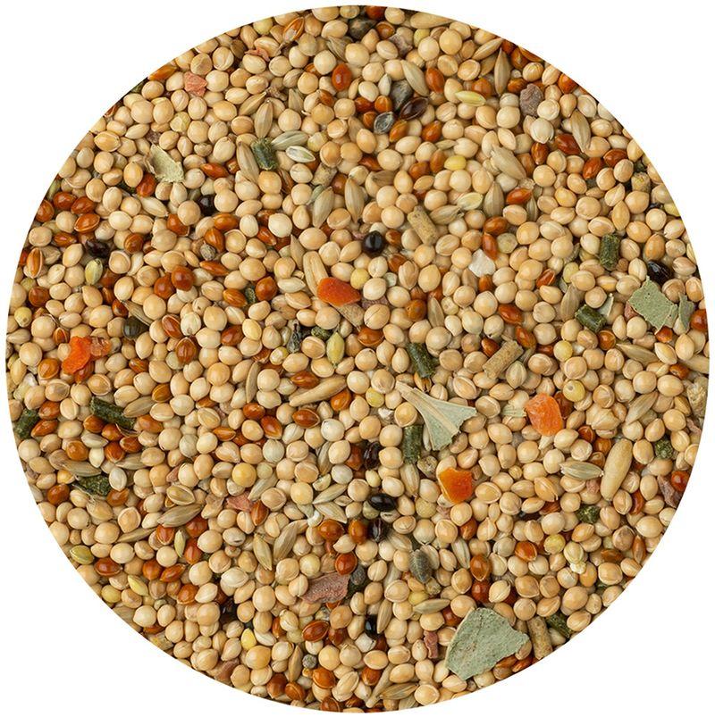 Zooplus Vitakraft Menù Pappagallini Mangime per uccelli Nuova