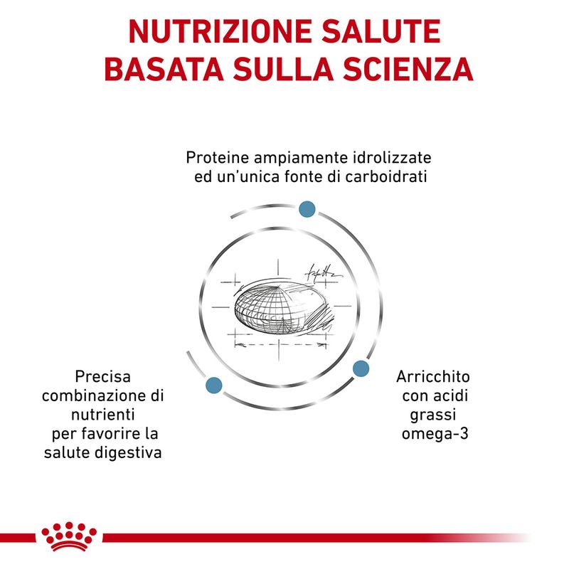 Zooplus Royal Canin Hypoallergenic Crocchette cane Offerta natalizia