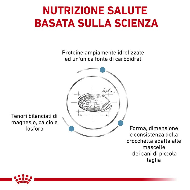 Zooplus Royal Canin Hypoallergenic Small Dogs Canine Veterinary Crocchette per cane Offerta Pasqua
