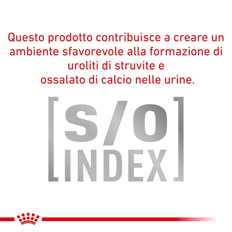 Zooplus Royal Canin Hypoallergenic Small Dogs Canine Veterinary Crocchette per cane Offerta Pasqua