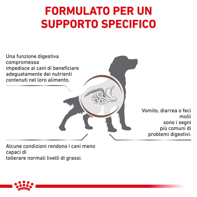 Zooplus Royal Canin Gastrointestinal Low Fat Canine Veterinary Offerta per la Festa della Mamma