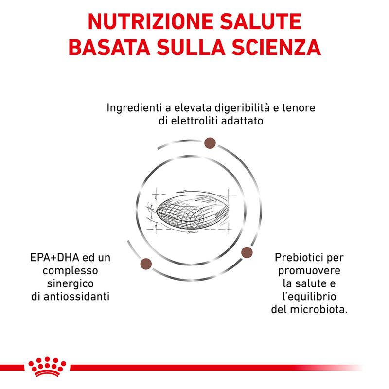 Zooplus Royal Canin Gastrointestinal Low Fat Canine Veterinary Offerta per la Festa della Mamma
