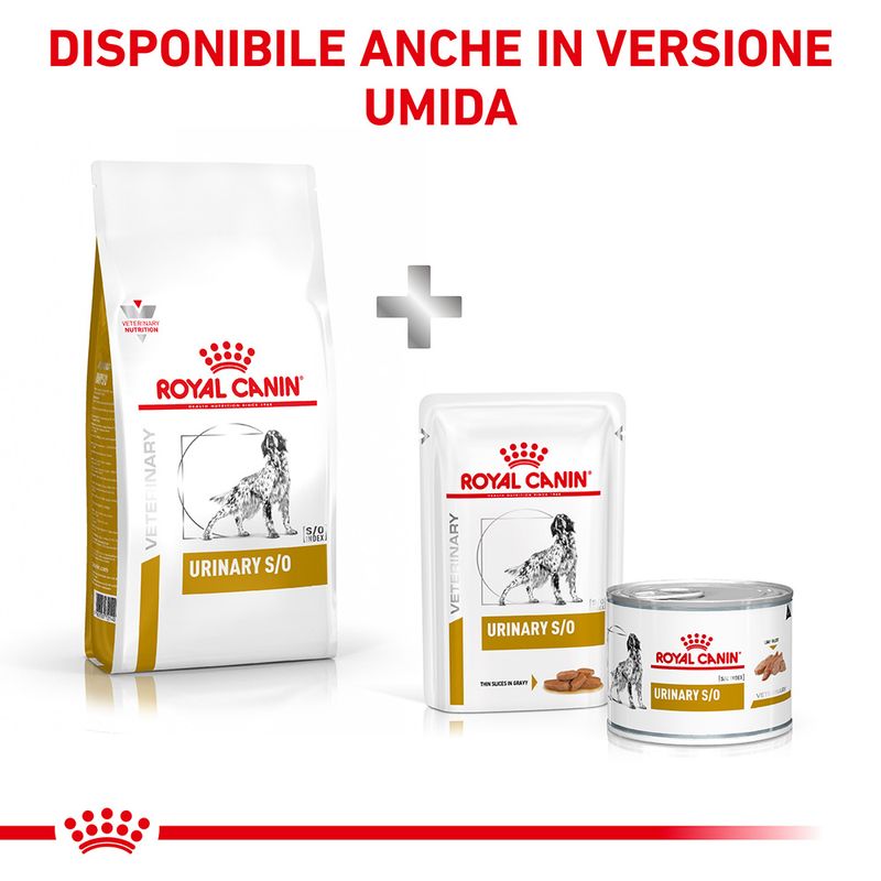 Zooplus Royal Canin Urinary S/O Veterinary Crocchette cane Offerta migliore
