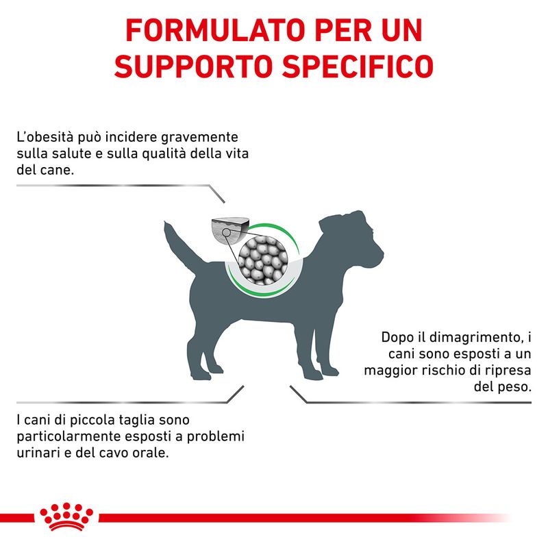 Zooplus Royal Canin Satiety Weight Management Small Dog Canine Veterinary Crocchette per cane Latest fashion