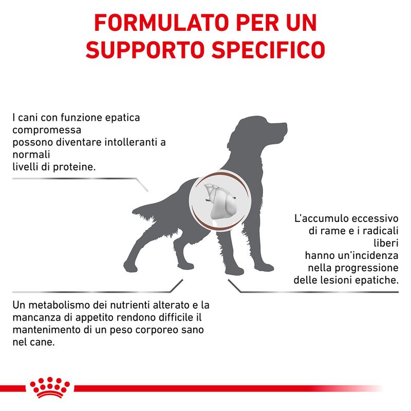 Zooplus Royal Canin Hepatic Canine Veterinary Crocchette per cane Online Outlet