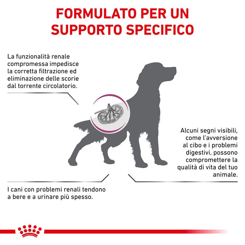 Zooplus Royal Canin Renal Canine Veterinary Crocchette per cane Offerte esclusive