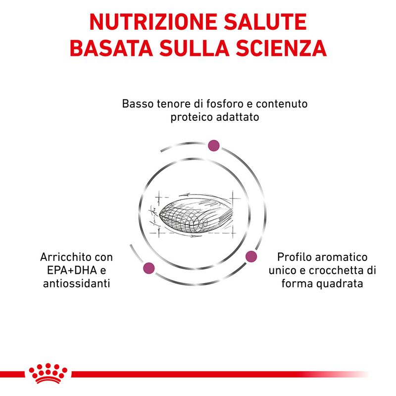Zooplus Royal Canin Renal Canine Veterinary Crocchette per cane Offerte esclusive
