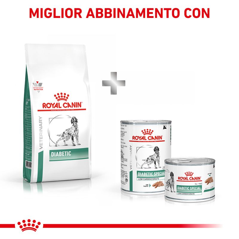 Zooplus Royal Canin Diabetic Veterinary crocchette cane Lightning offer