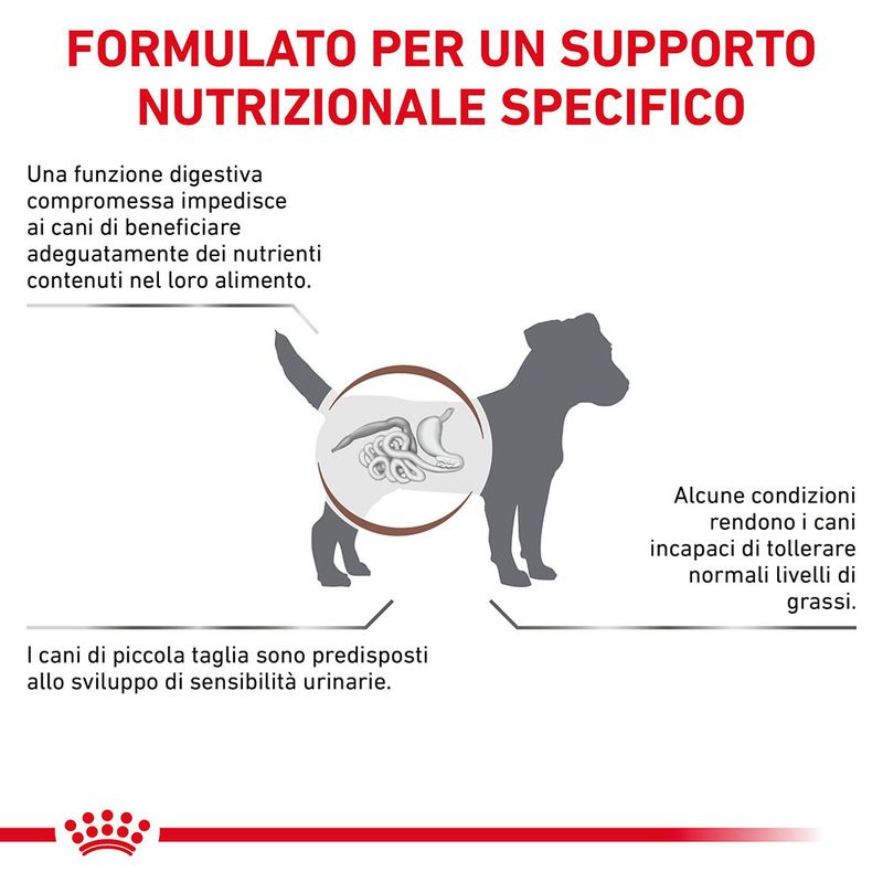 Zooplus Royal Canin Veterinary Canine Gastrointestinal Low Fat Small Dog Grandi sconti