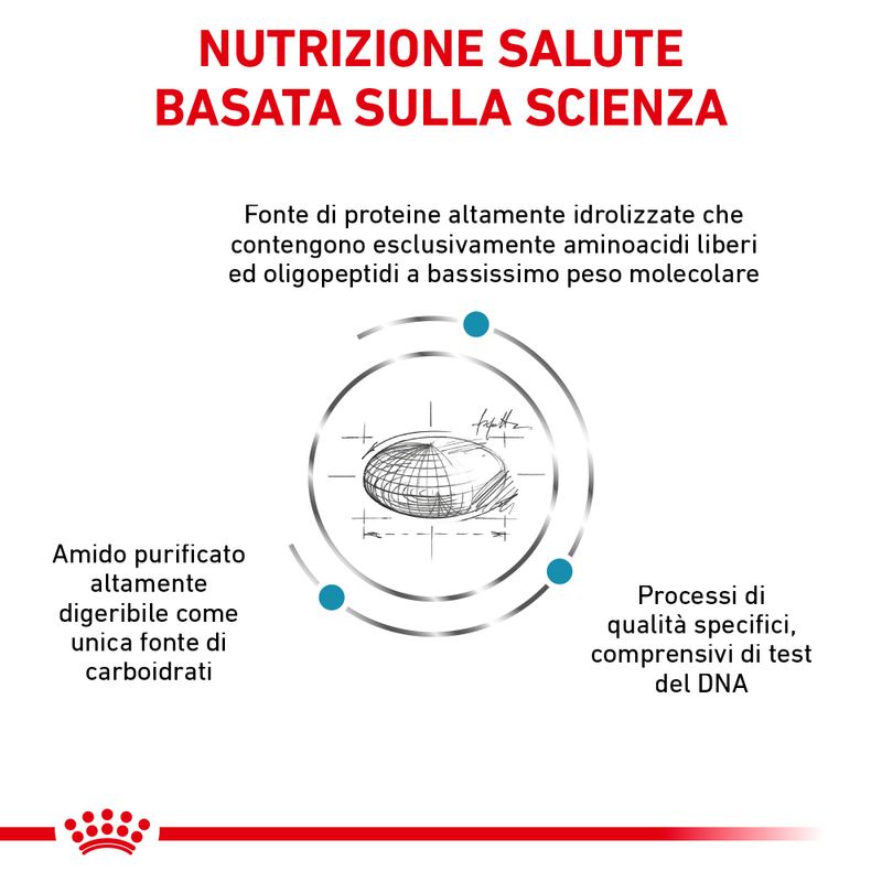 Zooplus Royal Canin Anallergenic Canine Small Dog Veterinary Crocchette per cane Offerte stagionali