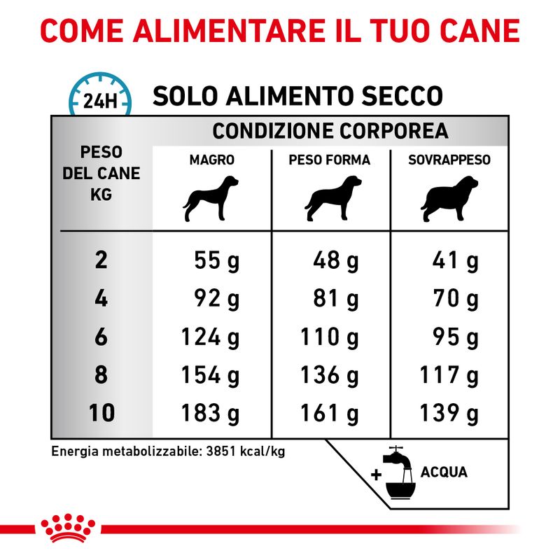 Zooplus Royal Canin Anallergenic Canine Small Dog Veterinary Crocchette per cane Offerte stagionali