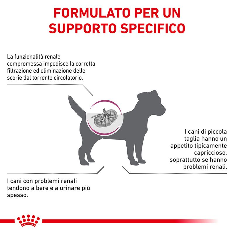 Zooplus Royal Canin Renal Small Canine Veterinary Crocchette per cani Liquidazione