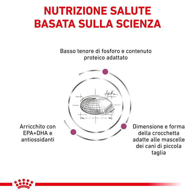 Zooplus Royal Canin Renal Small Canine Veterinary Crocchette per cani Liquidazione