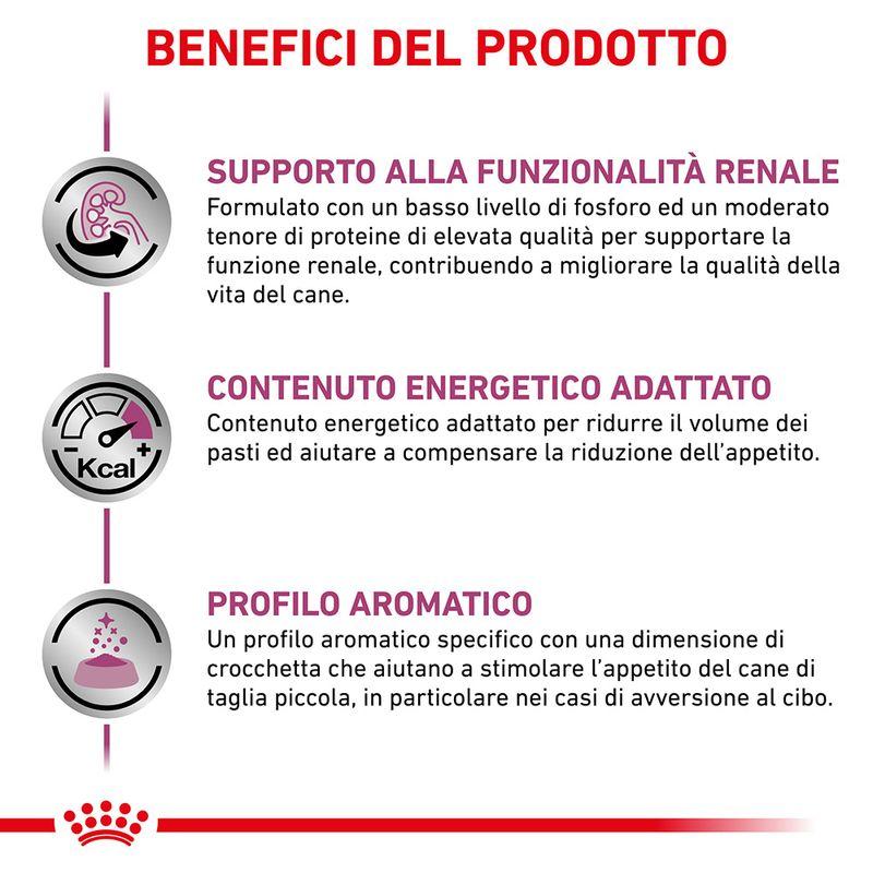 Zooplus Royal Canin Renal Small Canine Veterinary Crocchette per cani Liquidazione