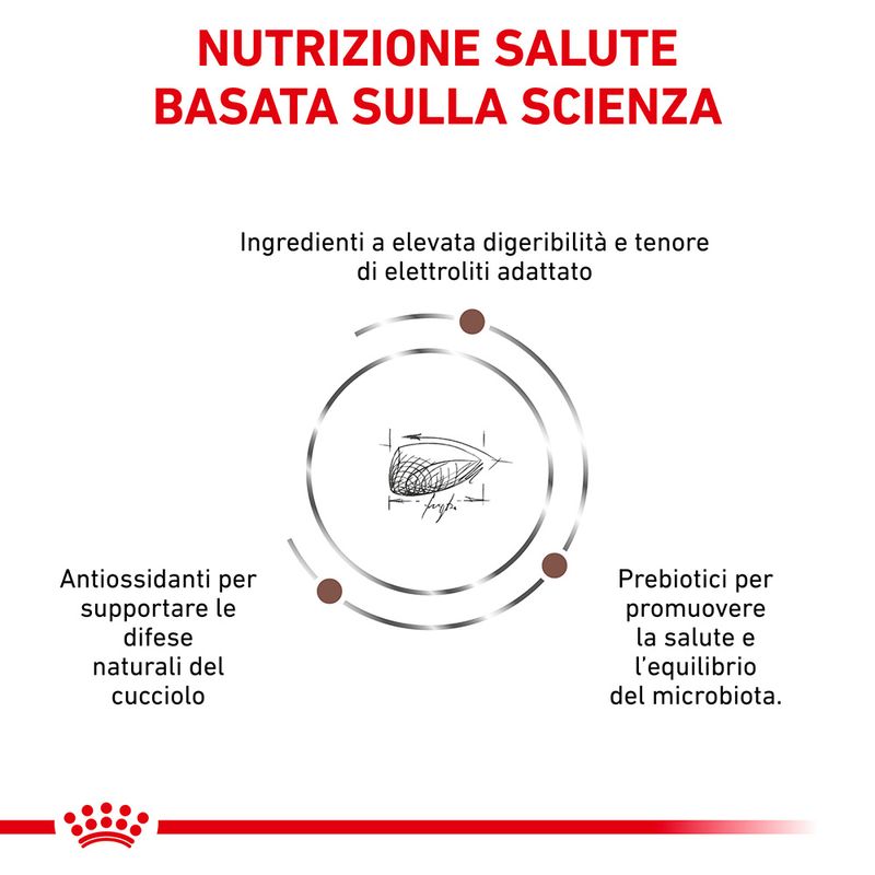 Zooplus Royal Canin Gastrointestinal Puppy Veterinary Crocchette per cane Offerte giornaliere