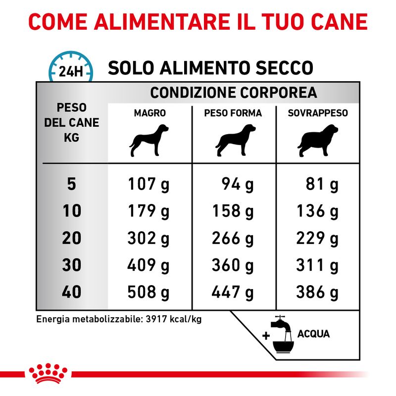 Zooplus Royal Canin Skin Care Canine Veterinary Crocchette Offerte speciali