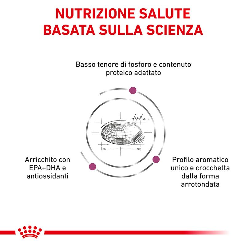 Zooplus Royal Canin Renal Special Canine Veterinary Crocchette per cani Enormi risparmi