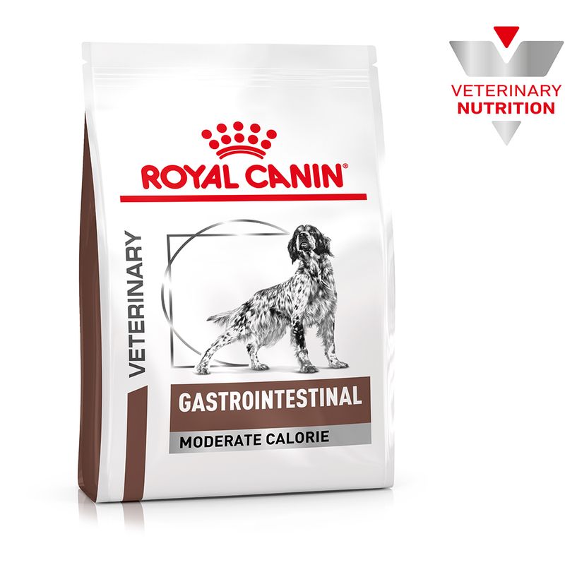Zooplus Royal Canin Gastrointestinal Moderate Calorie Canine Veterinary Crocchette per cani Prezzo basso