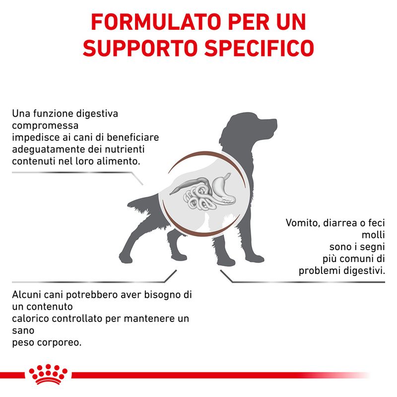 Zooplus Royal Canin Gastrointestinal Moderate Calorie Canine Veterinary Crocchette per cani Prezzo basso
