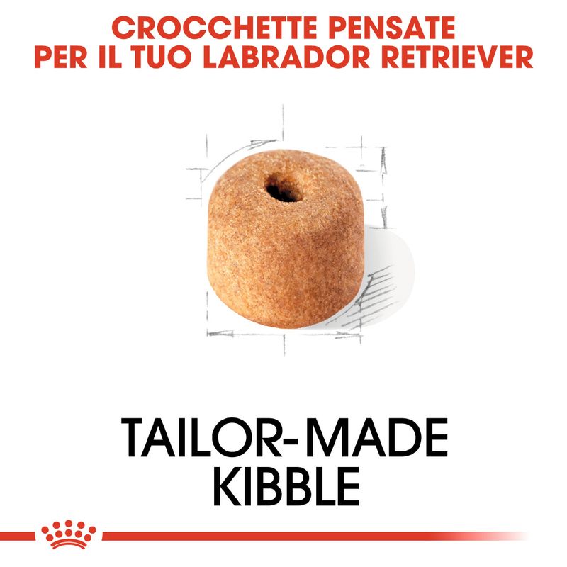 Zooplus Royal Canin Labrador Retriever Adult Crocchette cane Offerta settimanale