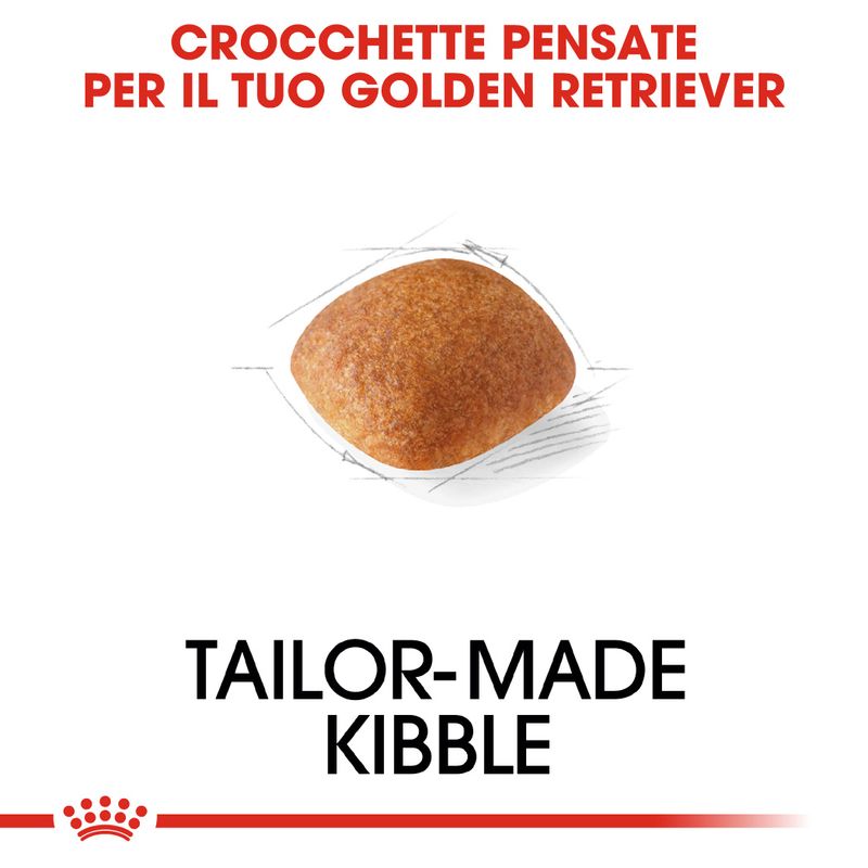 Zooplus Royal Canin Golden Retriever Adult Crocchette per cane Rilascio limitato