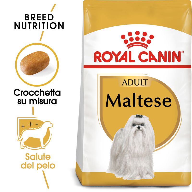 Zooplus Royal Canin Maltese Adult Crocchette per cane Ultimi tre giorni
