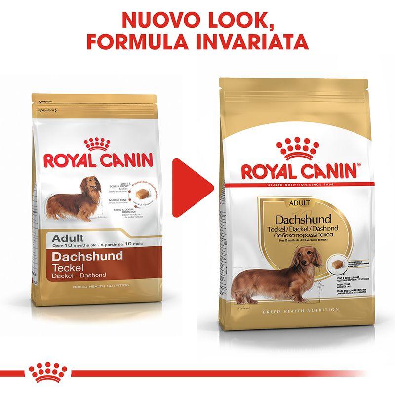 Zooplus Royal Canin Bassotto (Dachshund) Adult Crocchette ACQUISTA ORA