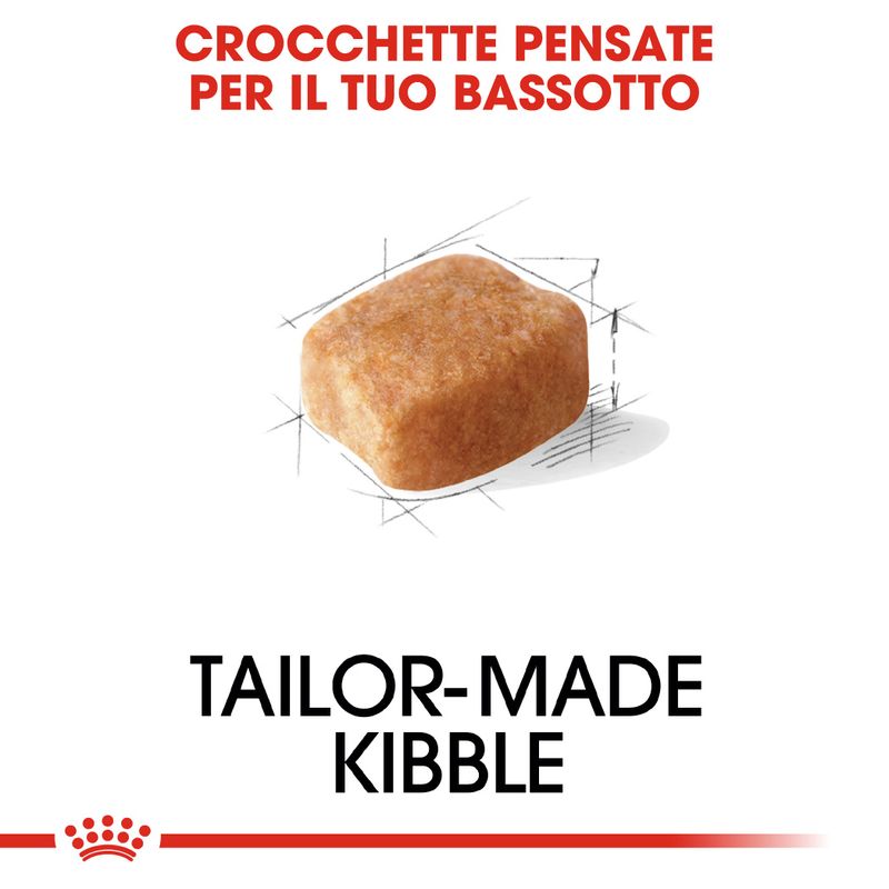Zooplus Royal Canin Bassotto (Dachshund) Adult Crocchette ACQUISTA ORA