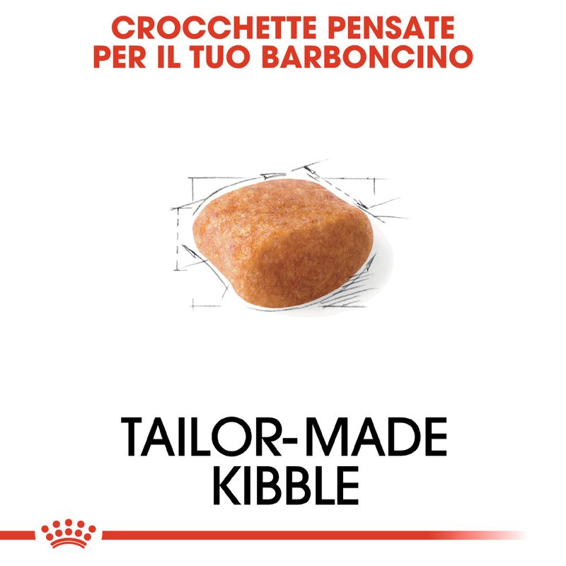 Zooplus Royal Canin Barboncino (Poodle) Adult Crocchette per cane Latest stili