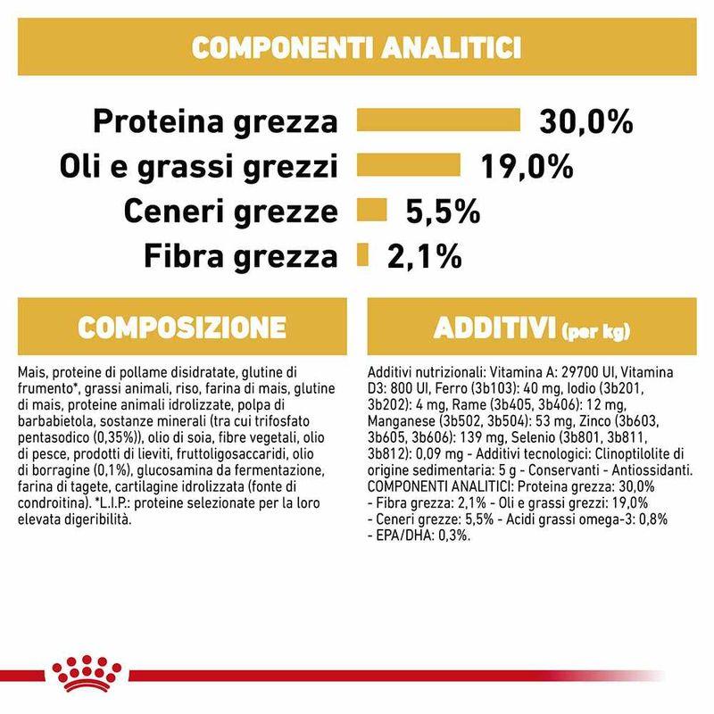 Zooplus Royal Canin Barboncino (Poodle) Adult Crocchette per cane Latest stili