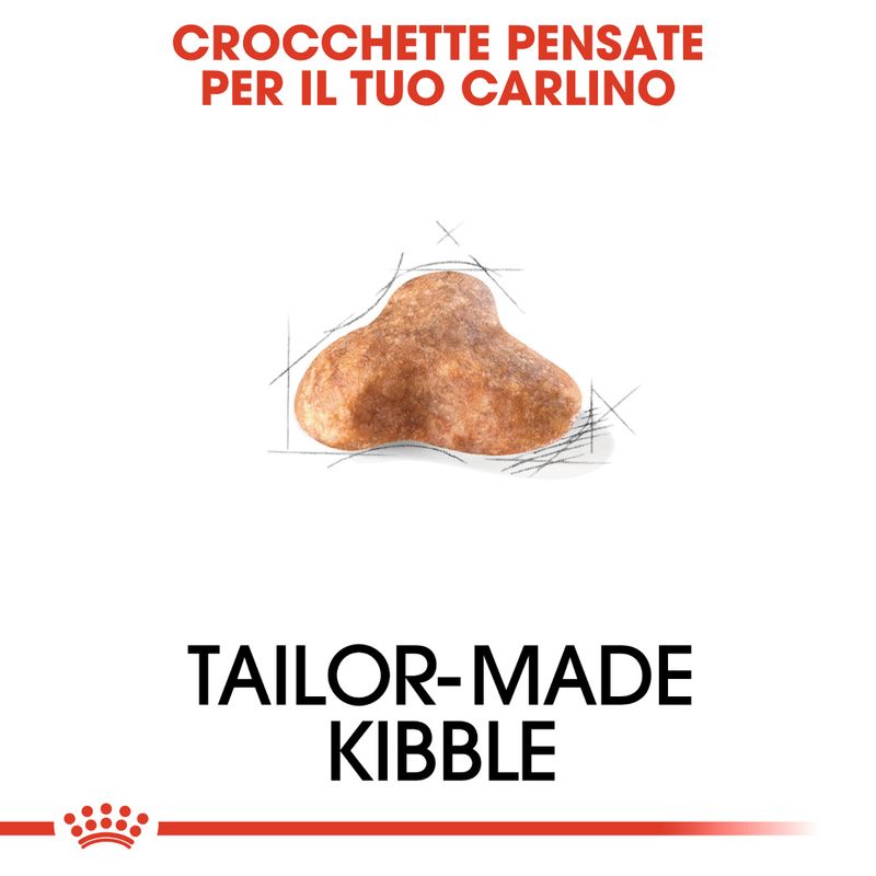 Zooplus Royal Canin Carlino (Pug) Adult Crocchette Ultimi due giorni