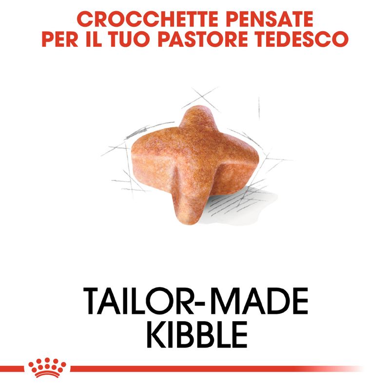 Zooplus Royal Canin Pastore tedesco (German Shepherd) Adult Crocchette per cane Ultimo giorno