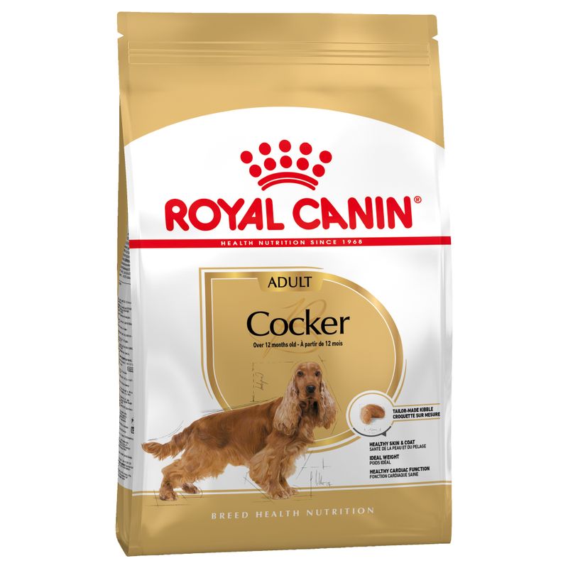 Zooplus Royal Canin Cocker Adult Crocchette per cane Promozione temporanea