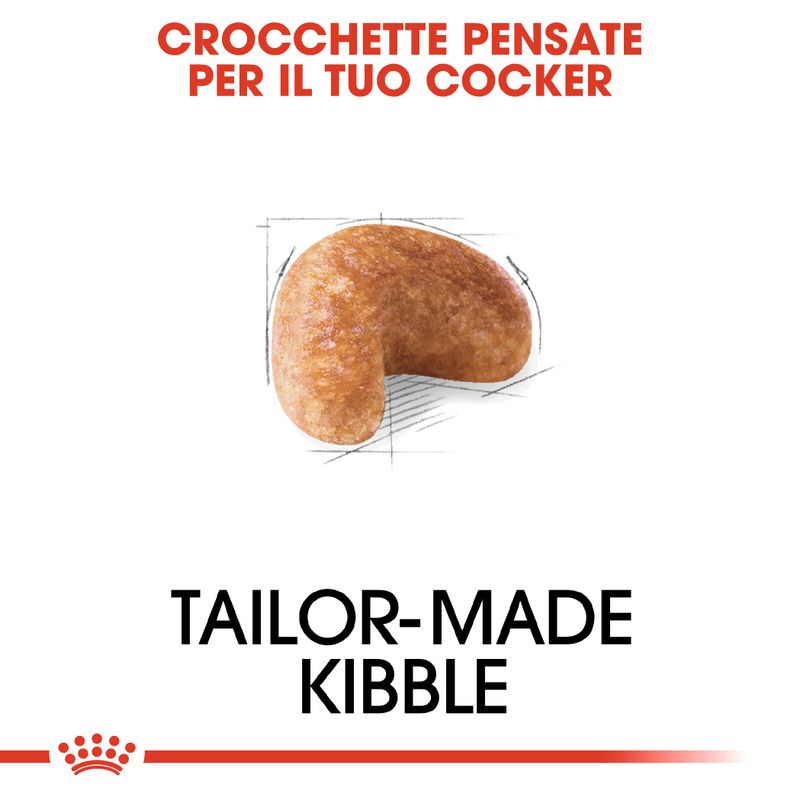Zooplus Royal Canin Cocker Adult Crocchette per cane Promozione temporanea