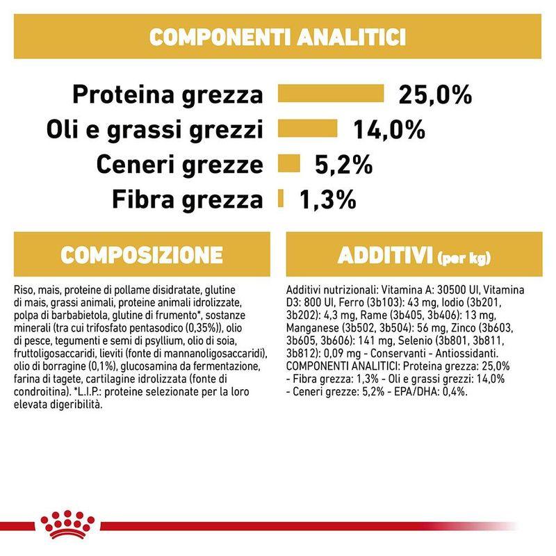 Zooplus Royal Canin Cocker Adult Crocchette per cane Promozione temporanea