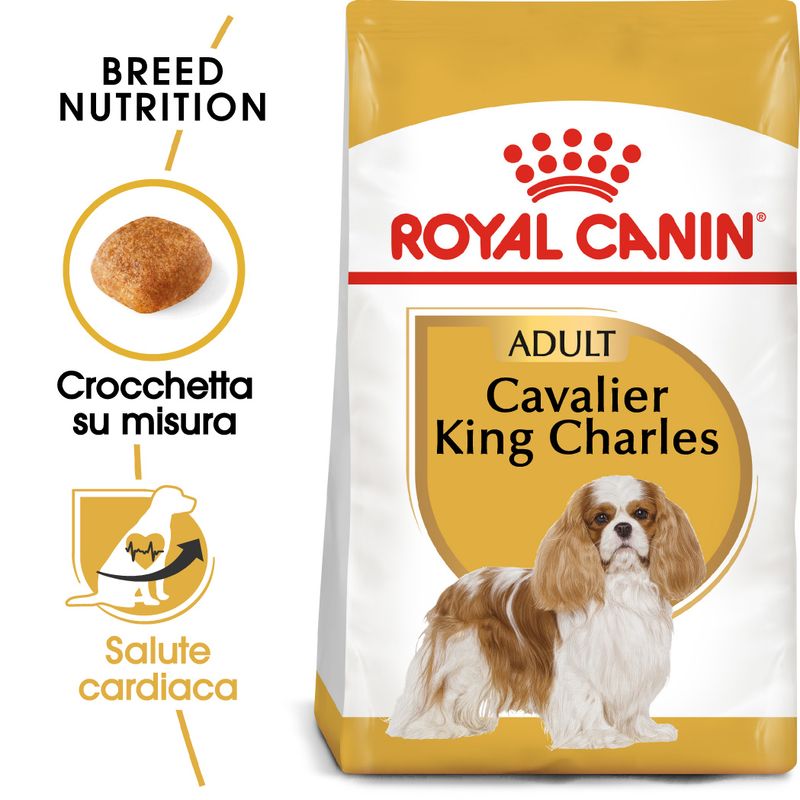 Zooplus Royal Canin Cavalier King Charles Adult Crocchette per cane