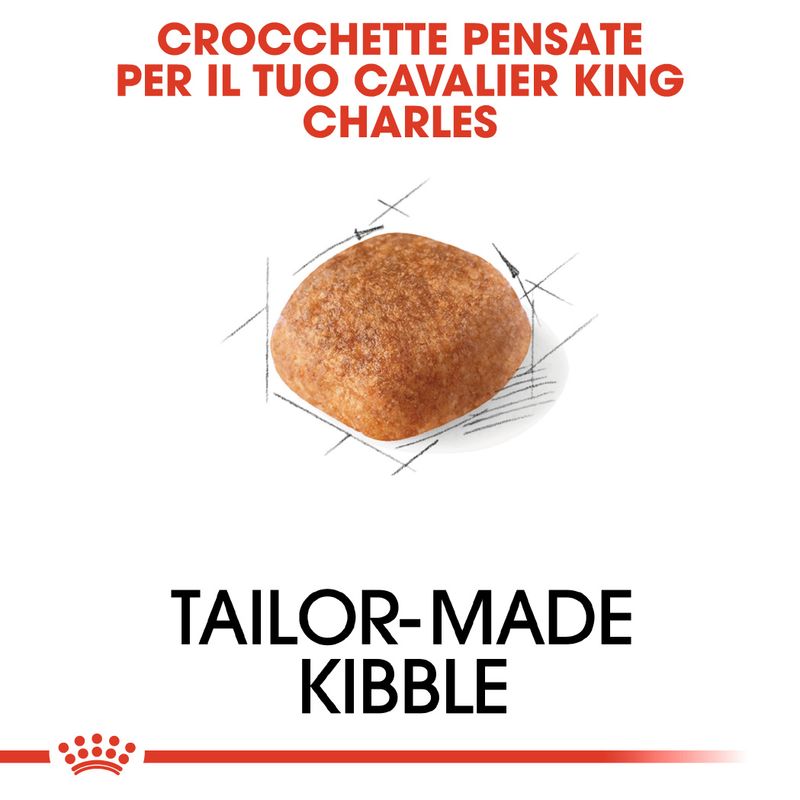 Zooplus Royal Canin Cavalier King Charles Adult Crocchette per cane Fino al 60% di sconto