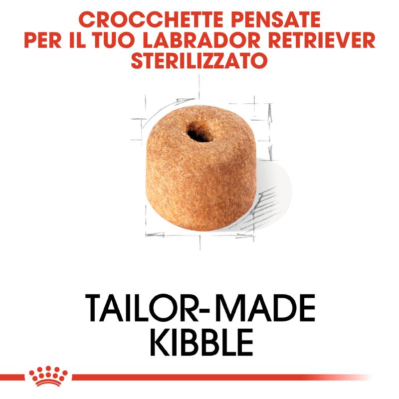 Zooplus Royal Canin Sterilised Labrador Retriever Adult Crocchette per cane Only for today